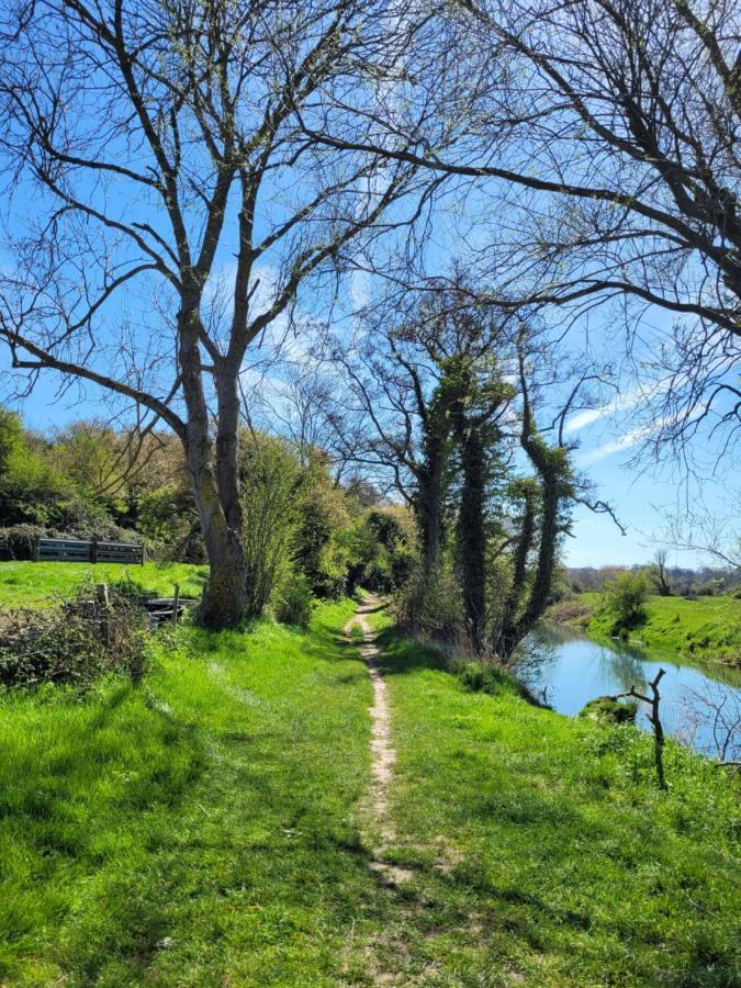 Les Dryades Riviere Et Mer Sainte-Marguerite  ภายนอก รูปภาพ